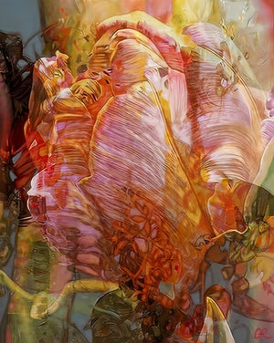 Limited Prints 