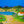 Original Painting 
